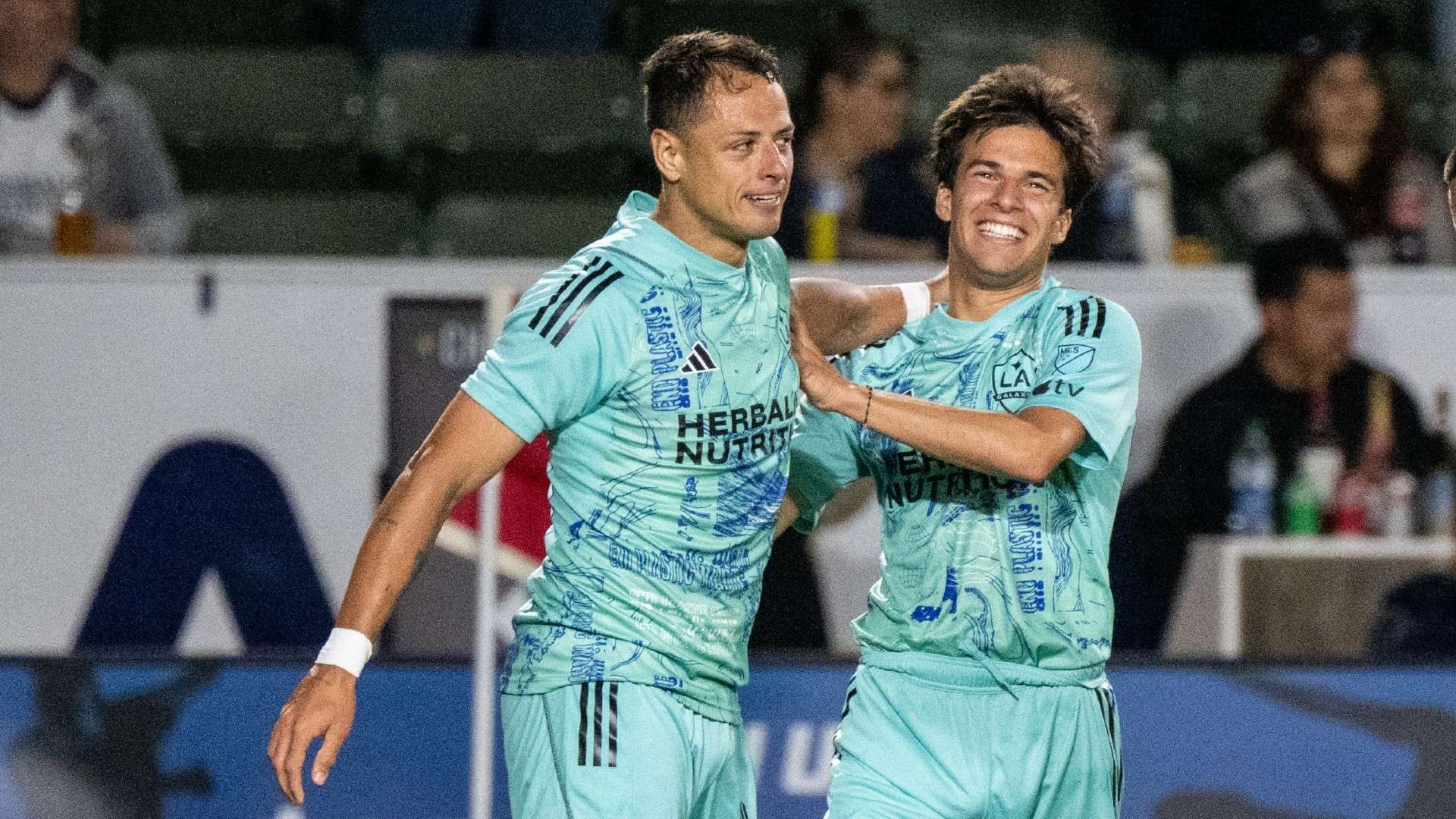 全能型选手 全能型选手